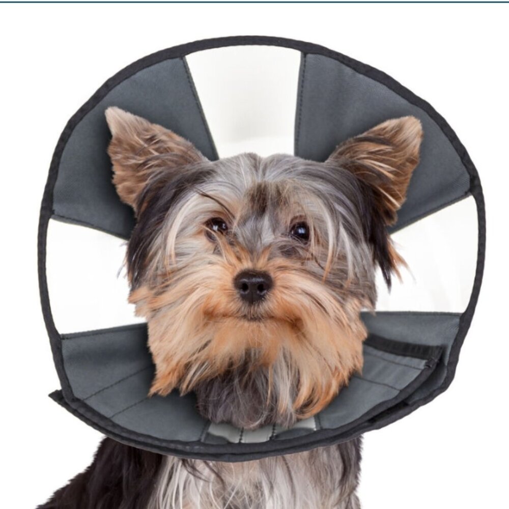 NWT ZenPet - ZenCone Soft Recovery Collar, Size Small - Picture 2 of 8